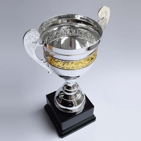 Image for The 2025 Murray Medal